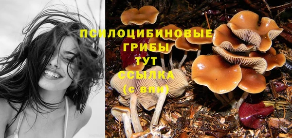 хмурый Бугульма
