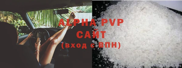 мдпв Бородино