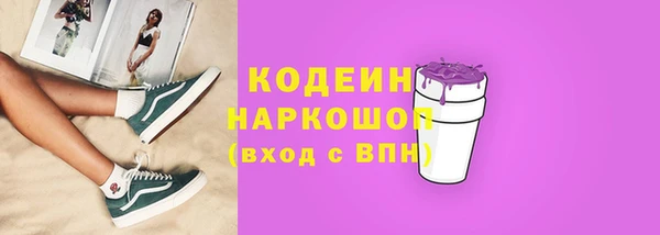 мдпв Бородино