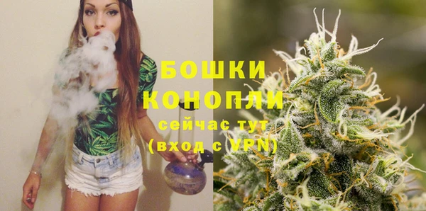 хмурый Бронницы