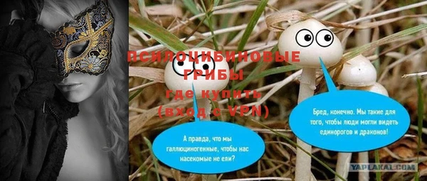 хмурый Бронницы