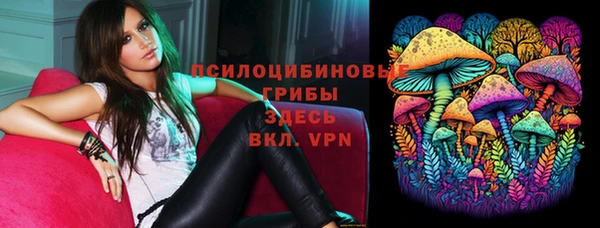мдпв Бородино