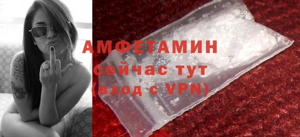 мдпв Бородино