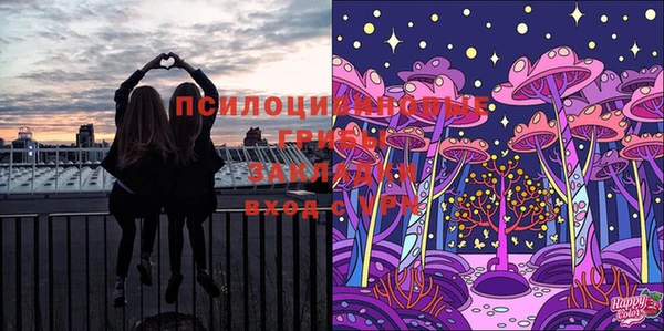 хмурый Бронницы